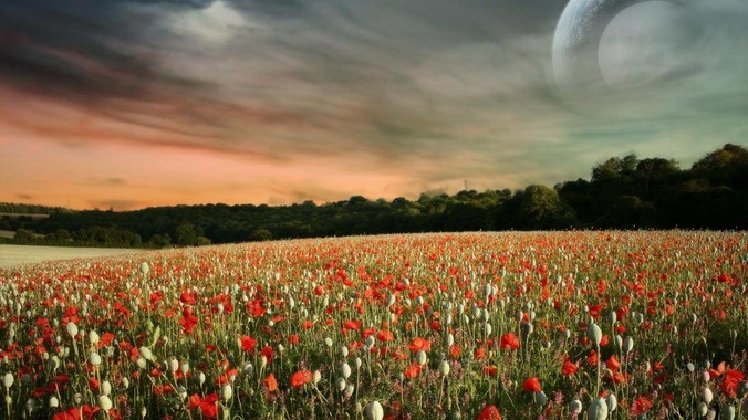 如何评价前端框架 Solid?